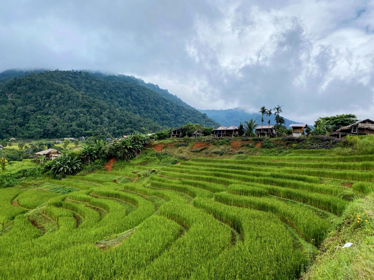 Doi Inthanon National Park — big bike day ride from Chiang Mai